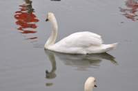 hurstspit2_small.jpg