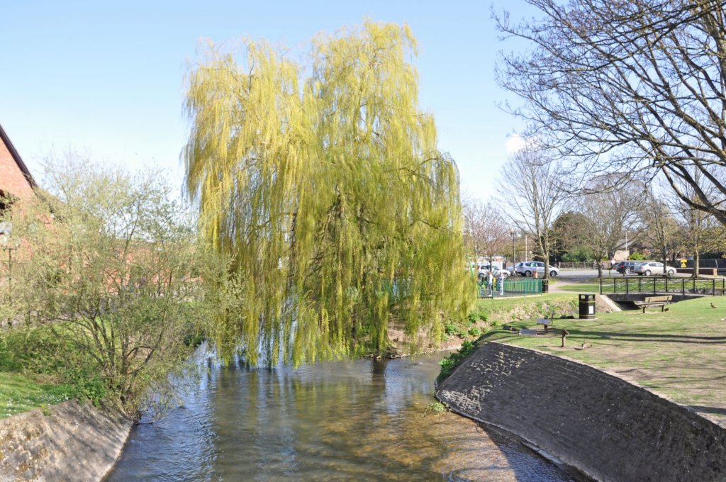 salisbury.jpg