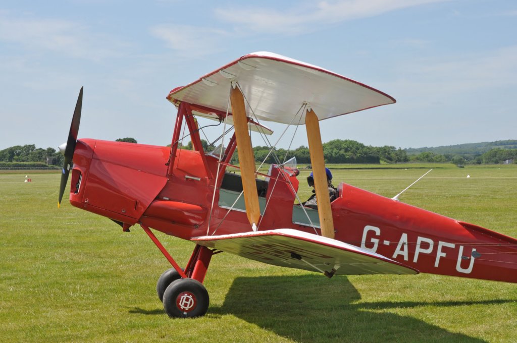 tigermoth3.jpg