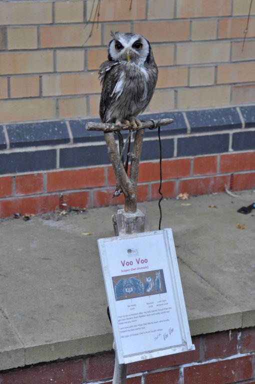 haverthwaite7.jpg