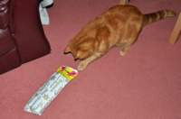 christmasday14_small.jpg
