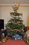 christmasday3_small.jpg