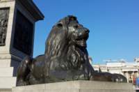 trafalgarsquare3_small.jpg