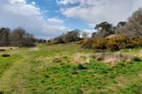 petersfieldheath15_small.jpg