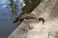 petersfieldheath22_small.jpg