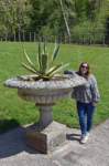 tyntesfield15_small.jpg