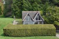tyntesfield18_small.jpg