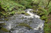 dolgochfalls5_small.jpg