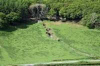 talyllynrailway21_small.jpg