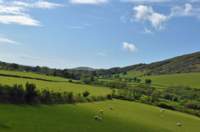 talyllynrailway24_small.jpg