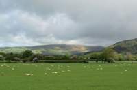 talyllynrailway2_small.jpg