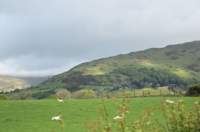 talyllynrailway3_small.jpg