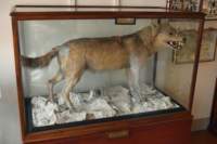 osbornehouse102_small.jpg