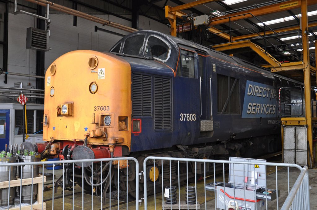 drskingmooropenday18thjuly201510.jpg