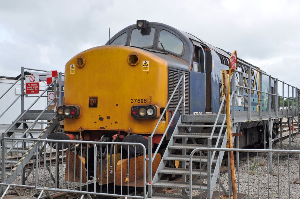 drskingmooropenday18thjuly201512.jpg