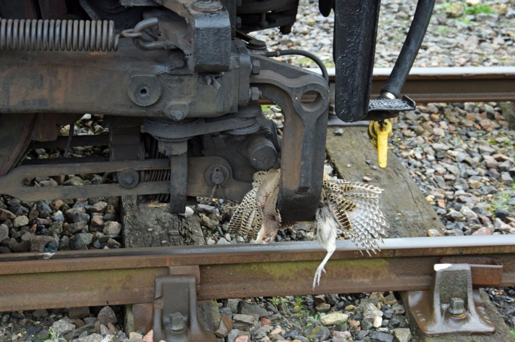eastleighworks1stnovember20183.jpg